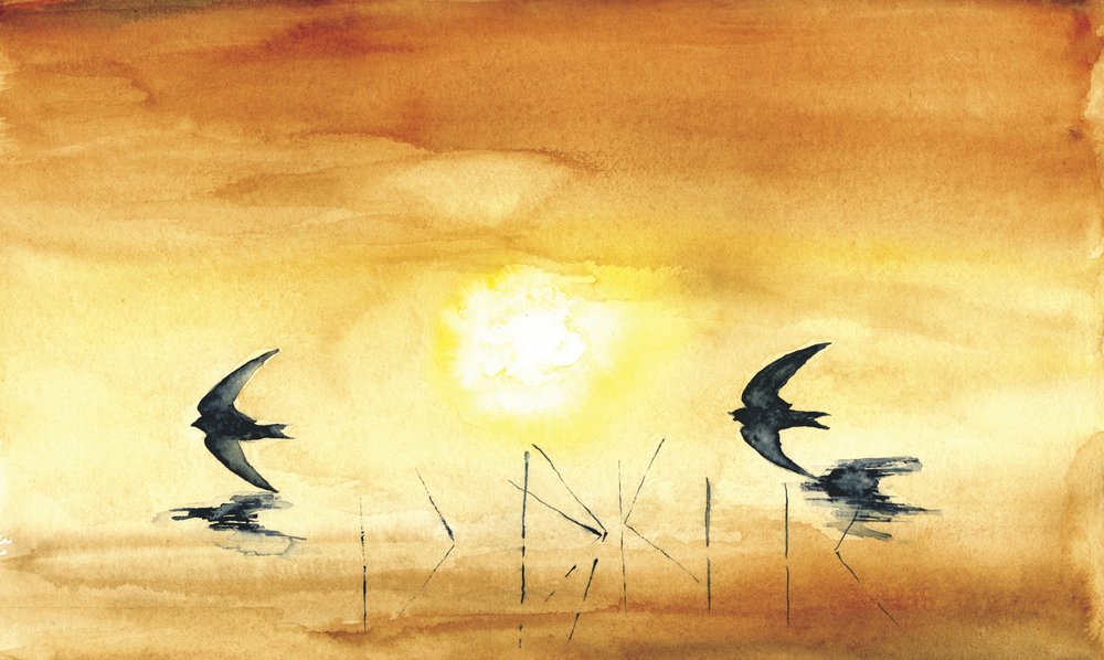 Goldene Stunde Vögel von RodMacIver