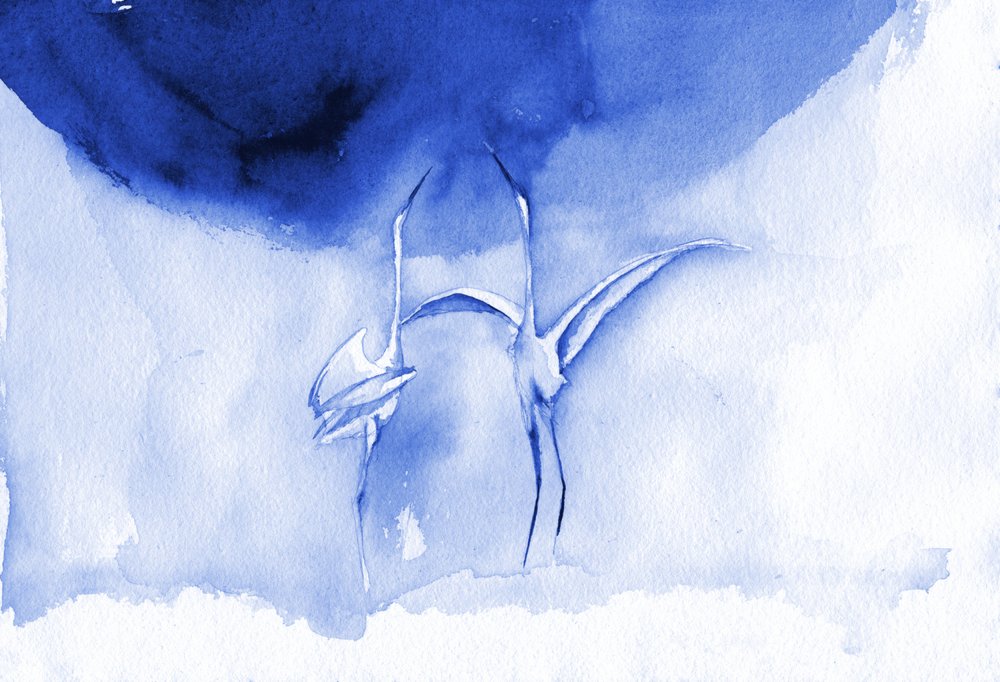 Anmutige blaue Vögel von RodMacIver