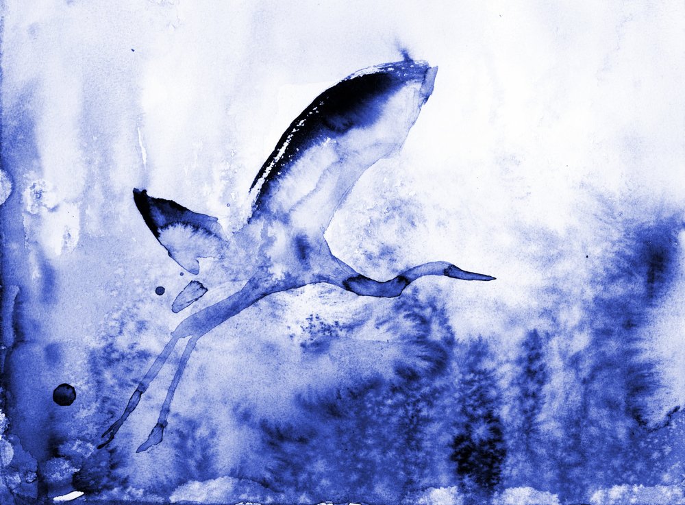 Anmutiger blauer Reiher von RodMacIver