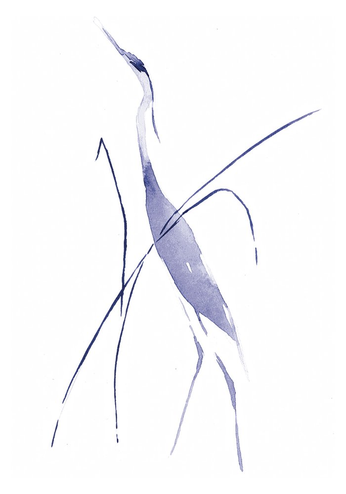 Anmutiger blauer Reiher von RodMacIver