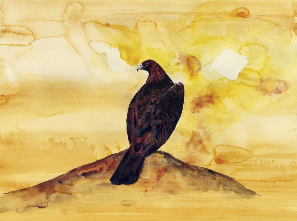 Majestätischer Goldener Adler von RodMacIver