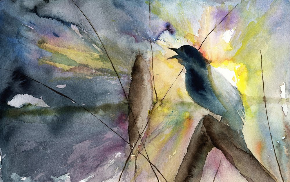 Singender Vogel im Sonnenaufgang von RodMacIver