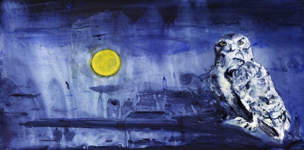 Schneeeule Mondlicht von RodMacIver