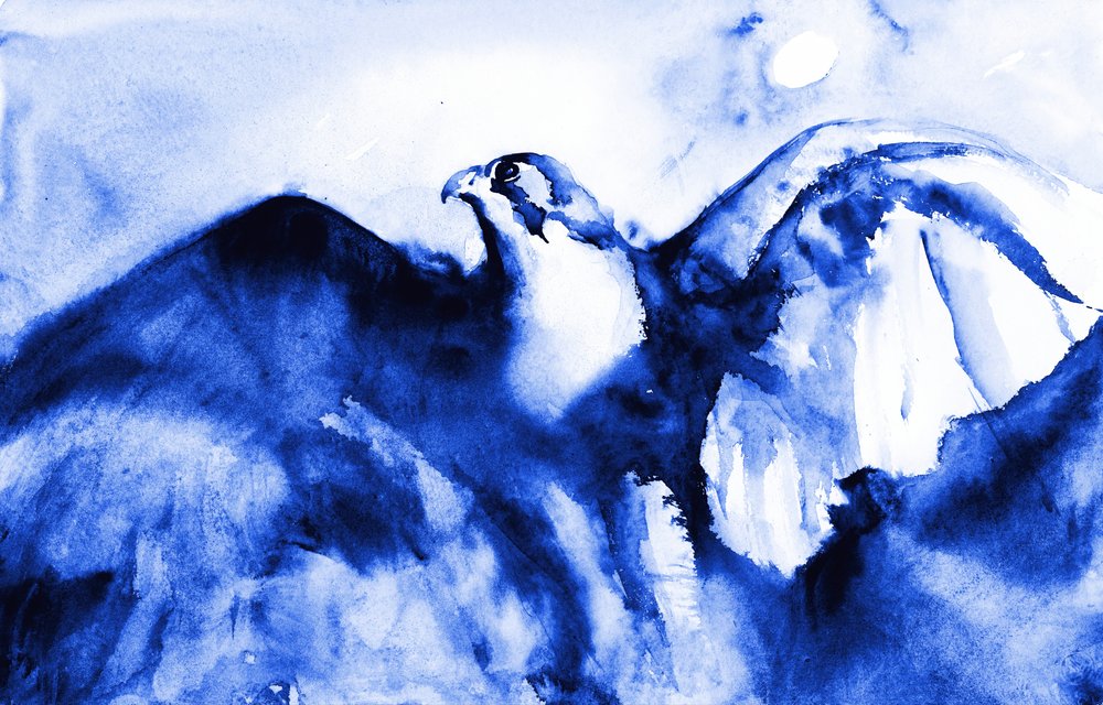 Schwebender blauer Falke von RodMacIver