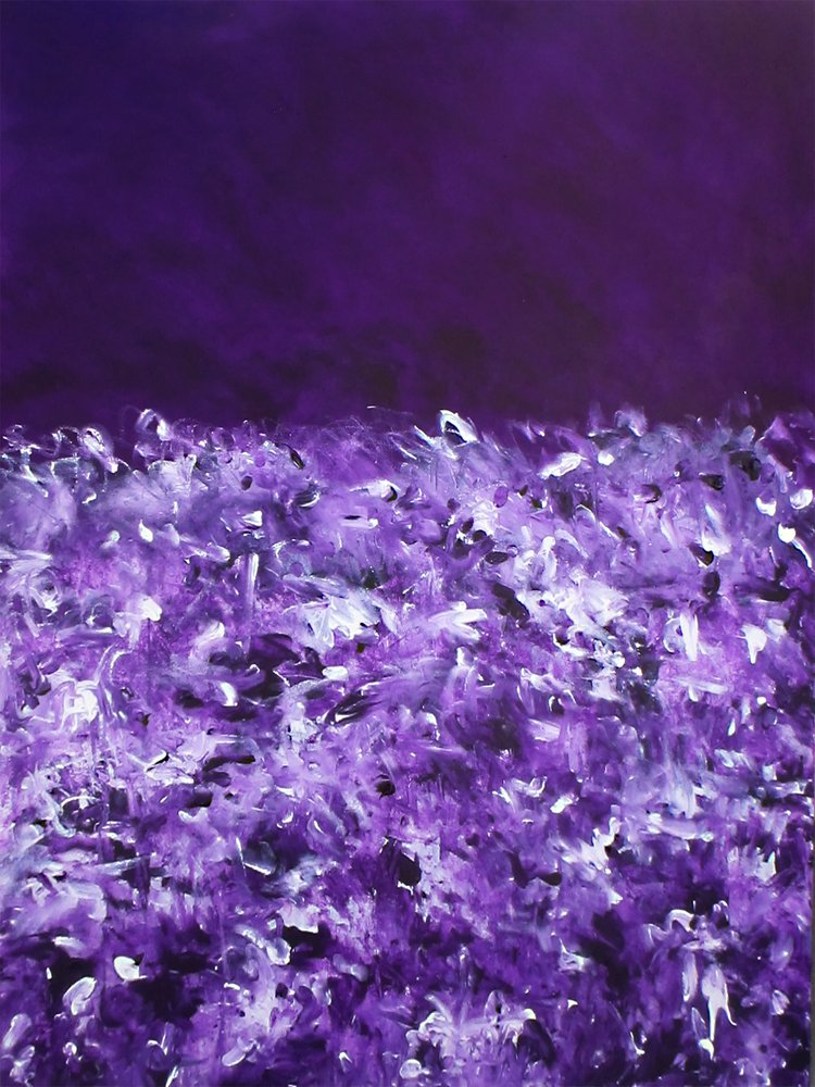 Lebendige violette Felder von Ron Halfant