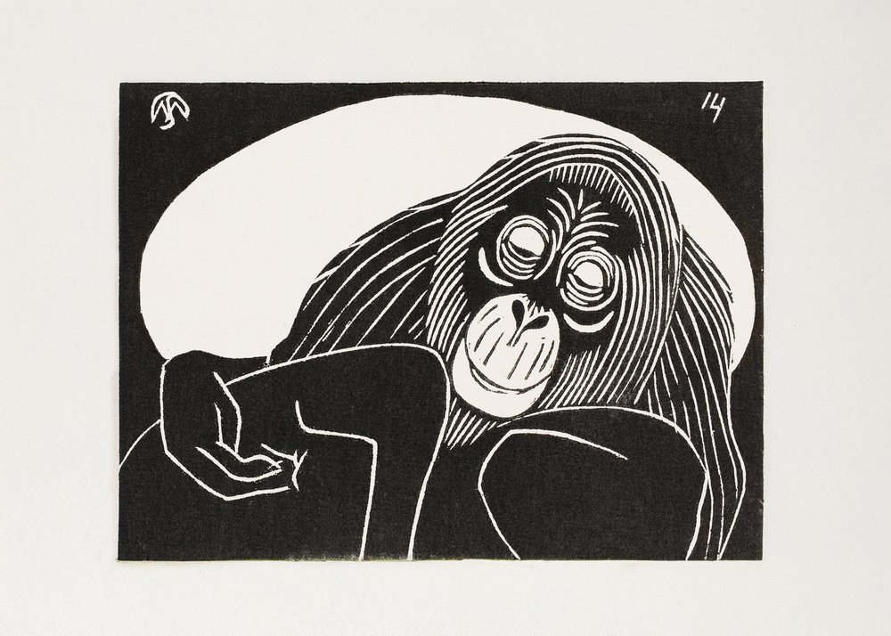 Orang-Utan von Samuel Jessurun de Mesquita
