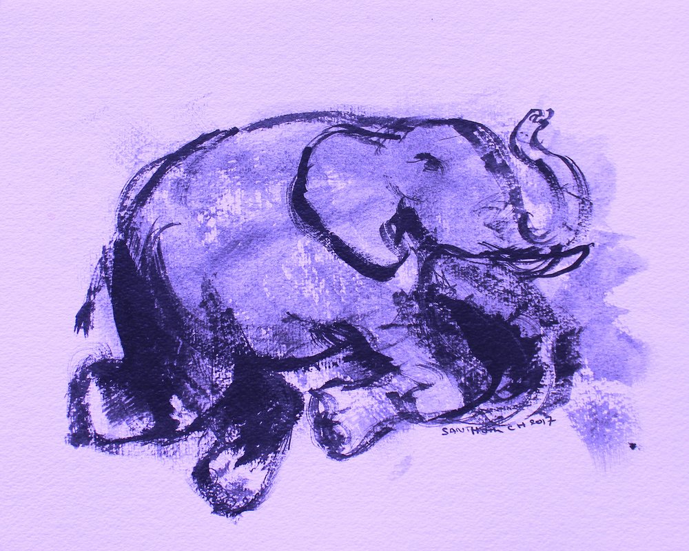 Elefant 42 von Santhosh ch