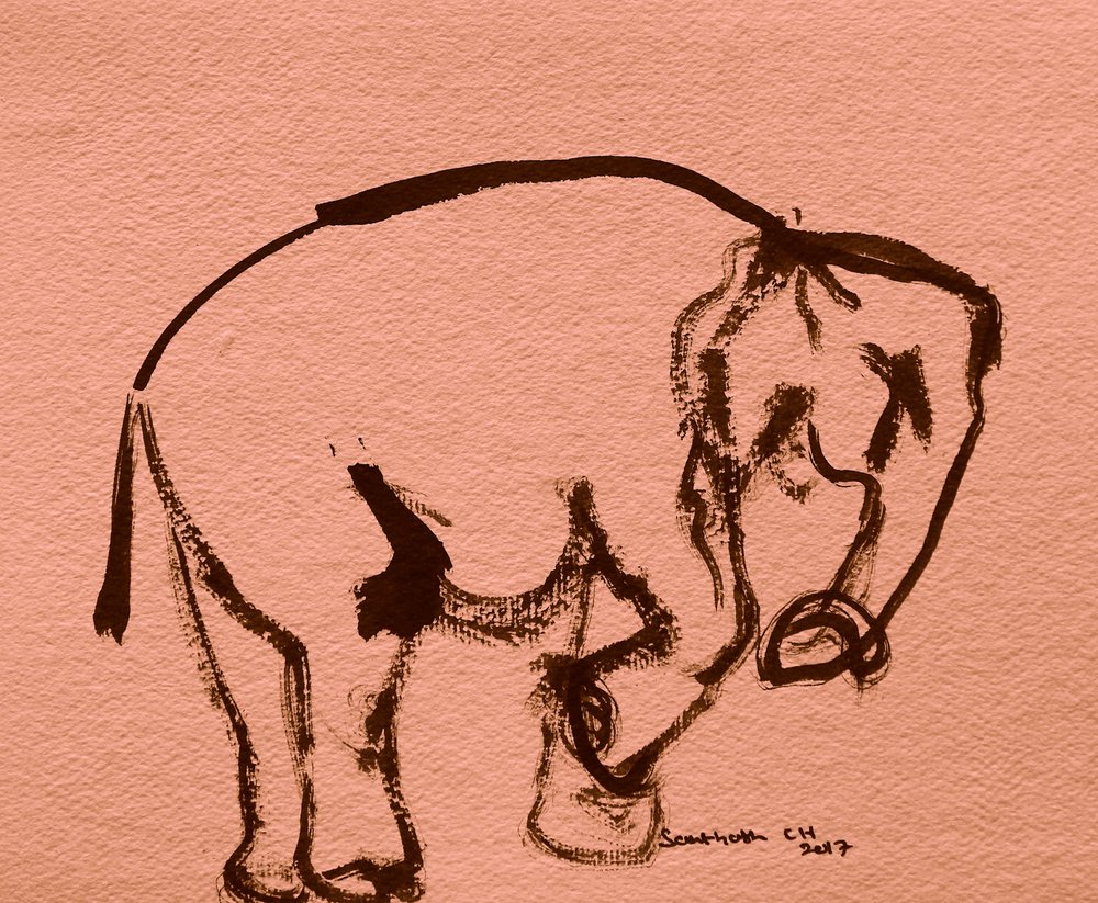 Expressiver Elefantenskizze von Santhosh ch