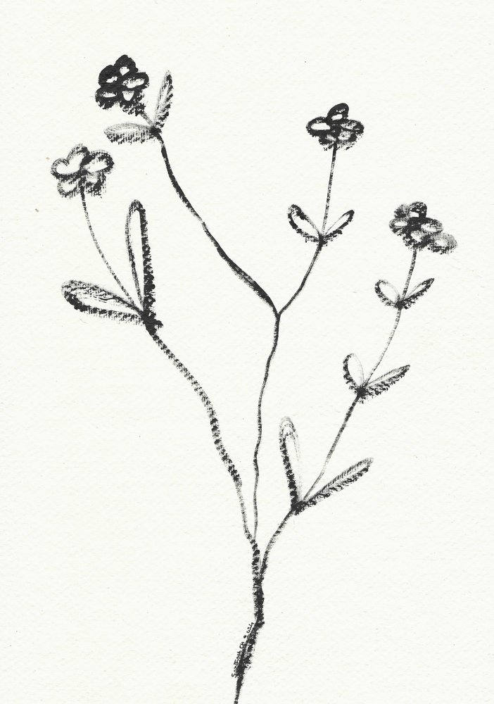 Minimalistische Botanische Zeichnung von Santhosh ch