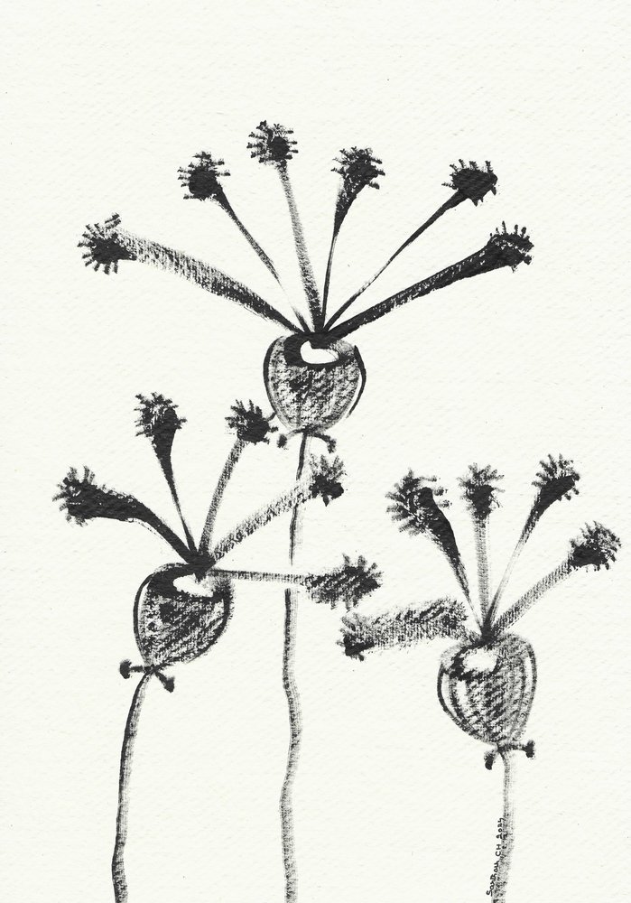 Minimalistische Botanische Zeichnung von Santhosh ch