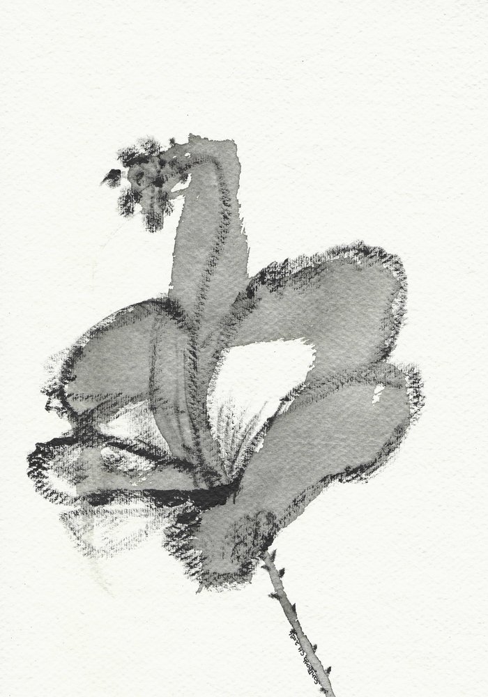 Monochrome Blumenstudie von Santhosh ch