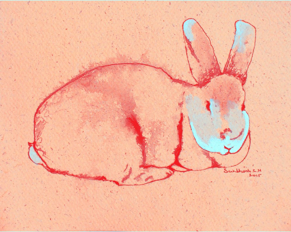 Pastellkaninchen von Santhosh ch