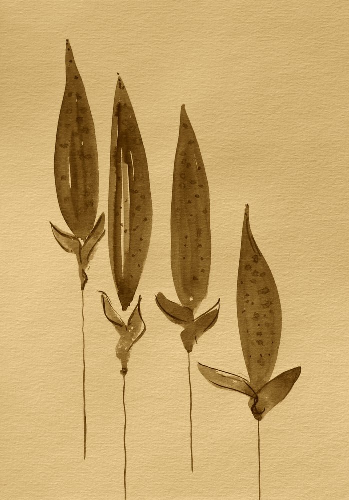 Sepia-Aquarellpflanzen von Santhosh ch