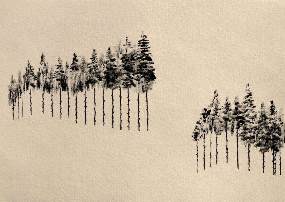 Stilisierte Kiefernwälder von Santhosh ch