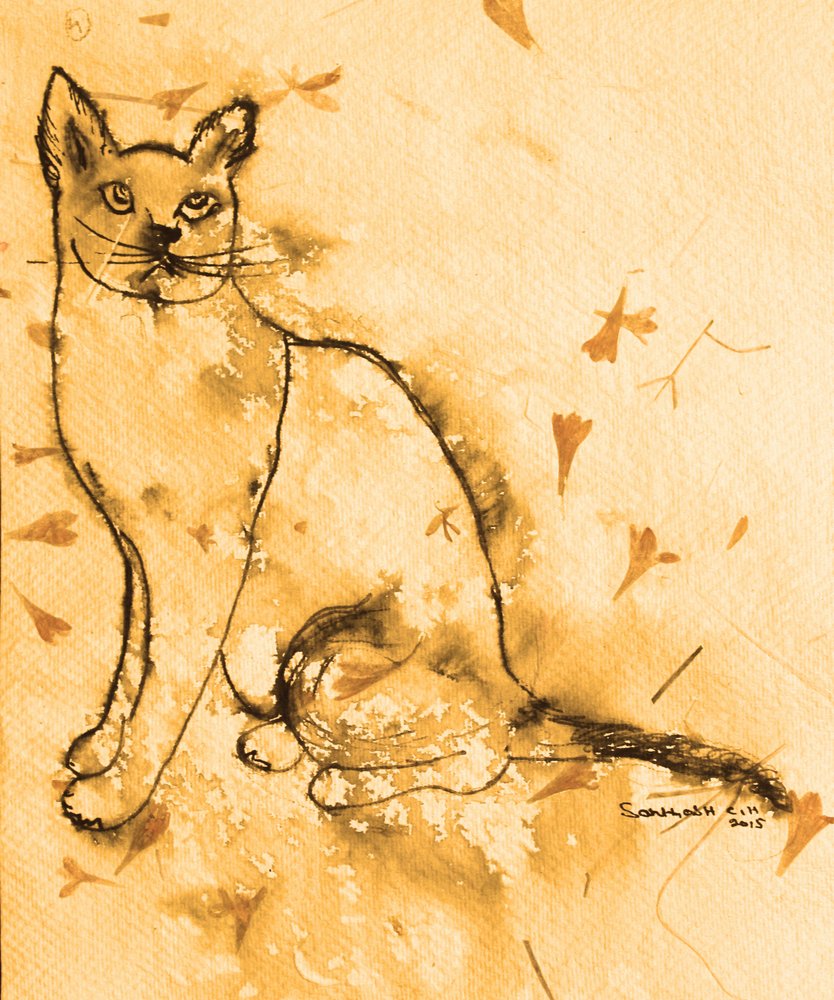 Nachdenkliche Sepia-Katze von Santhosh ch