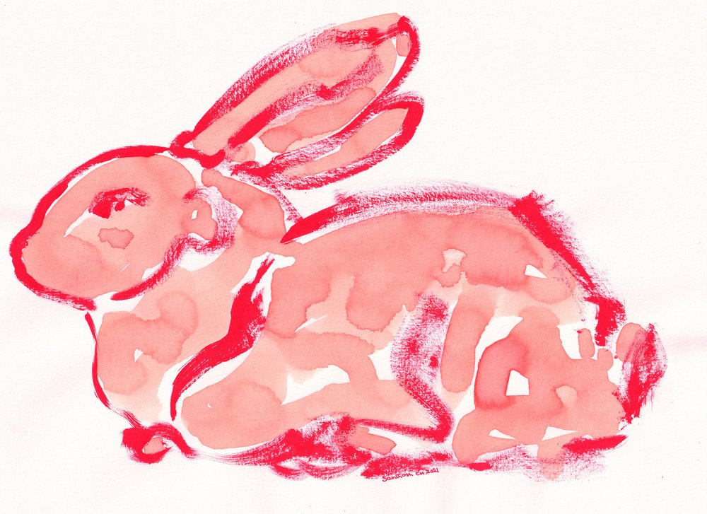 Lebendiger Roter Hase von Santhosh ch