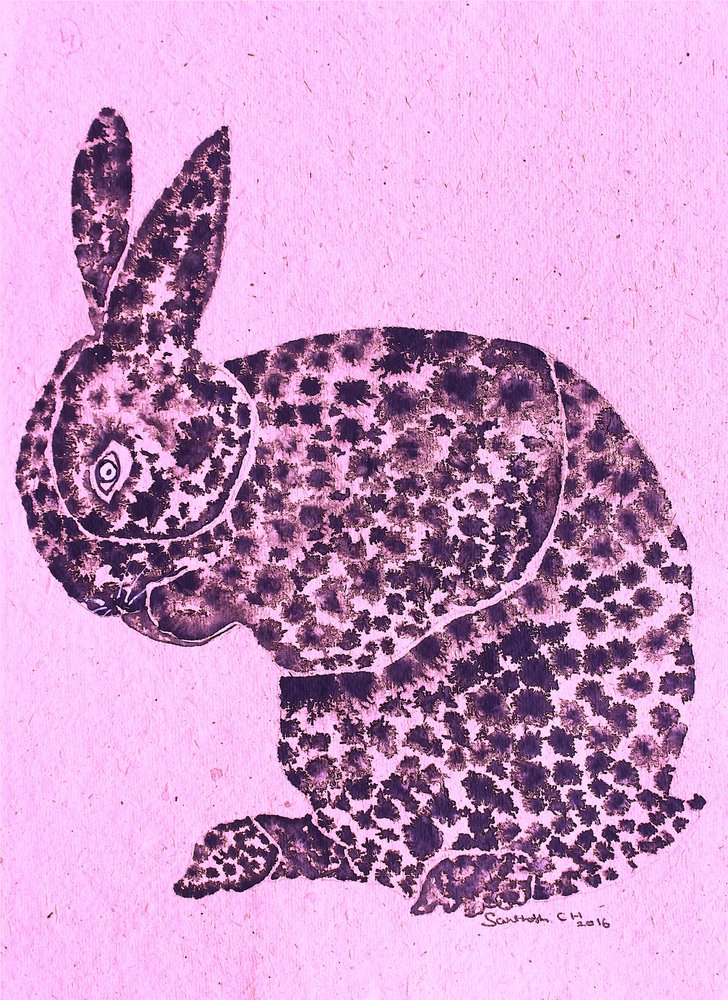 Launischer gefleckter Hase von Santhosh ch