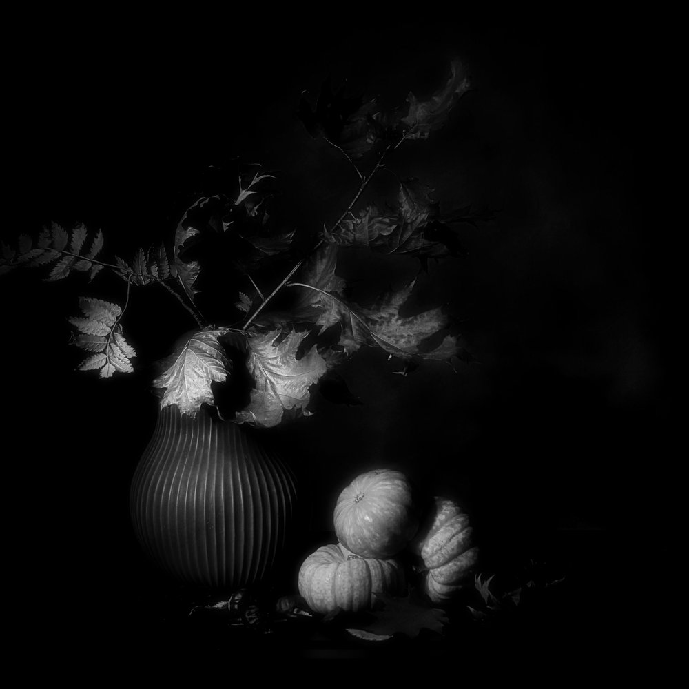 Dunkles Herbststillleben von Saskia Dingemans