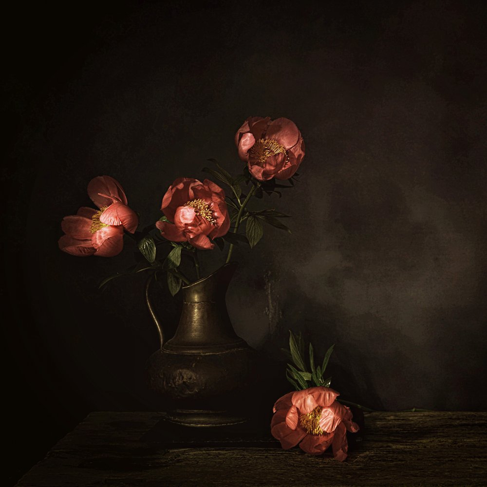 Tiefrote Pfingstrosenblüten von Saskia Dingemans