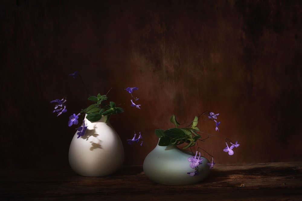 Schwebende violette Blüten von Saskia Dingemans