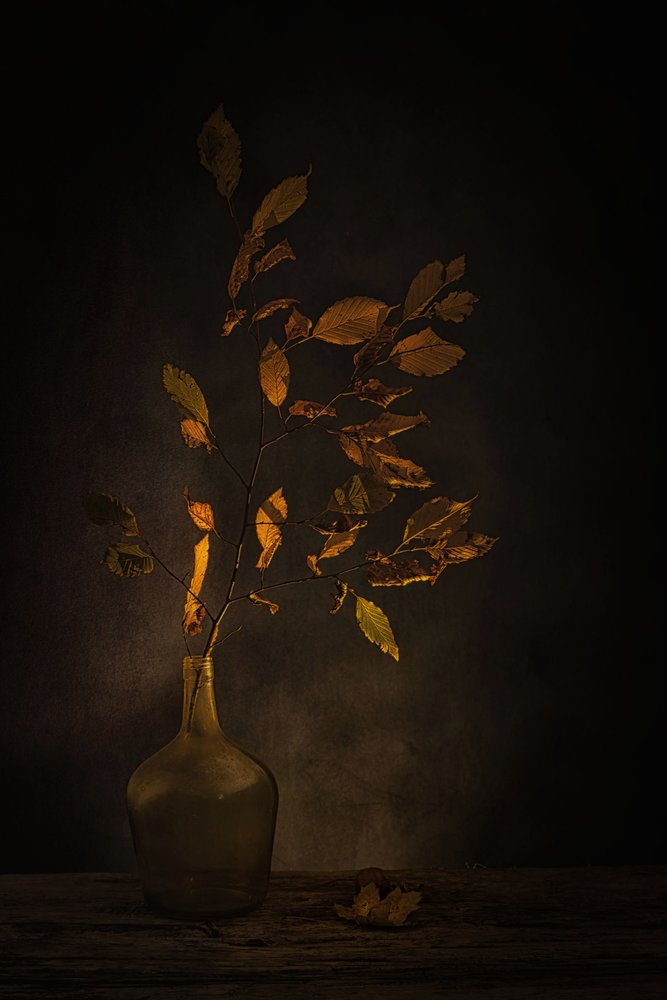 Stimmungsvolle Herbstblätter von Saskia Dingemans