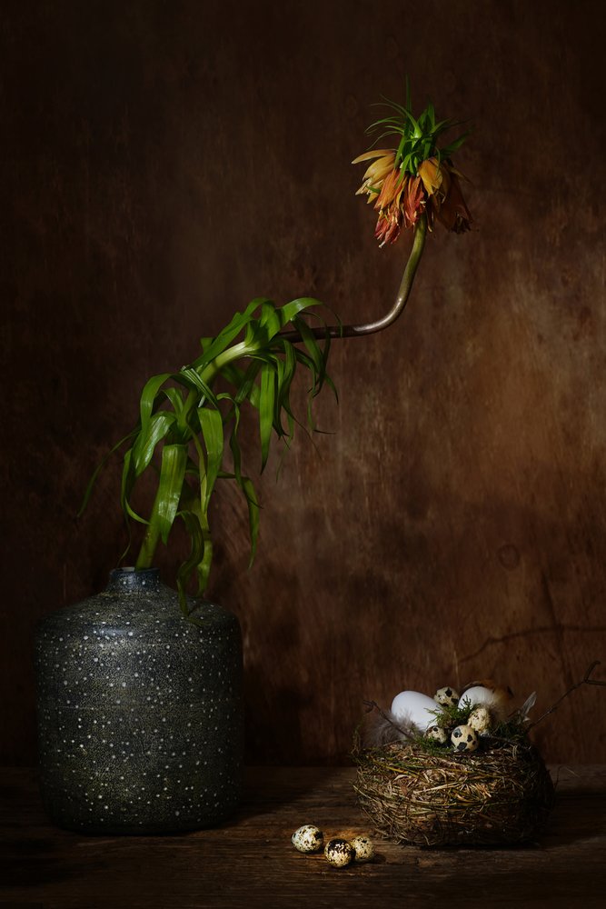 Stimmungsvolles Blumennest von Saskia Dingemans