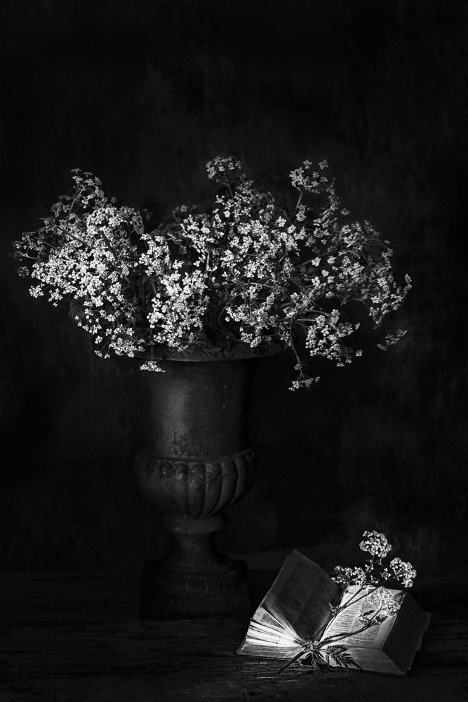 Stimmungsvolles Blumenstillleben von Saskia Dingemans