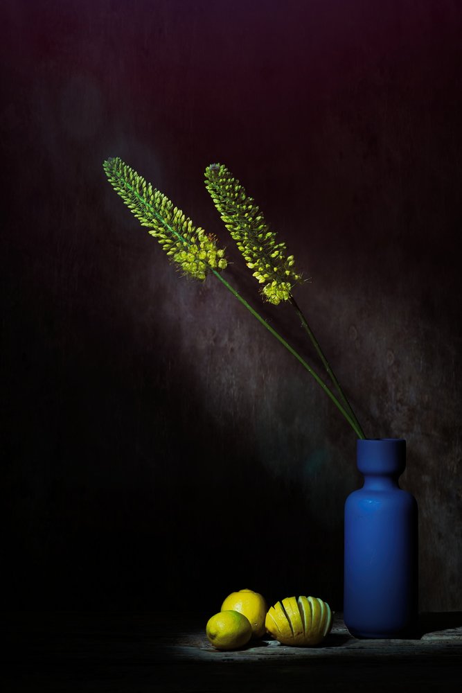 Stimmungsvolle gelbe Blumen Zitronen von Saskia Dingemans