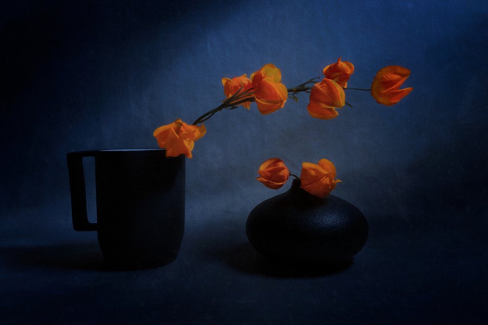 Herbst Laterne Stillleben von Siyu_Wei APA