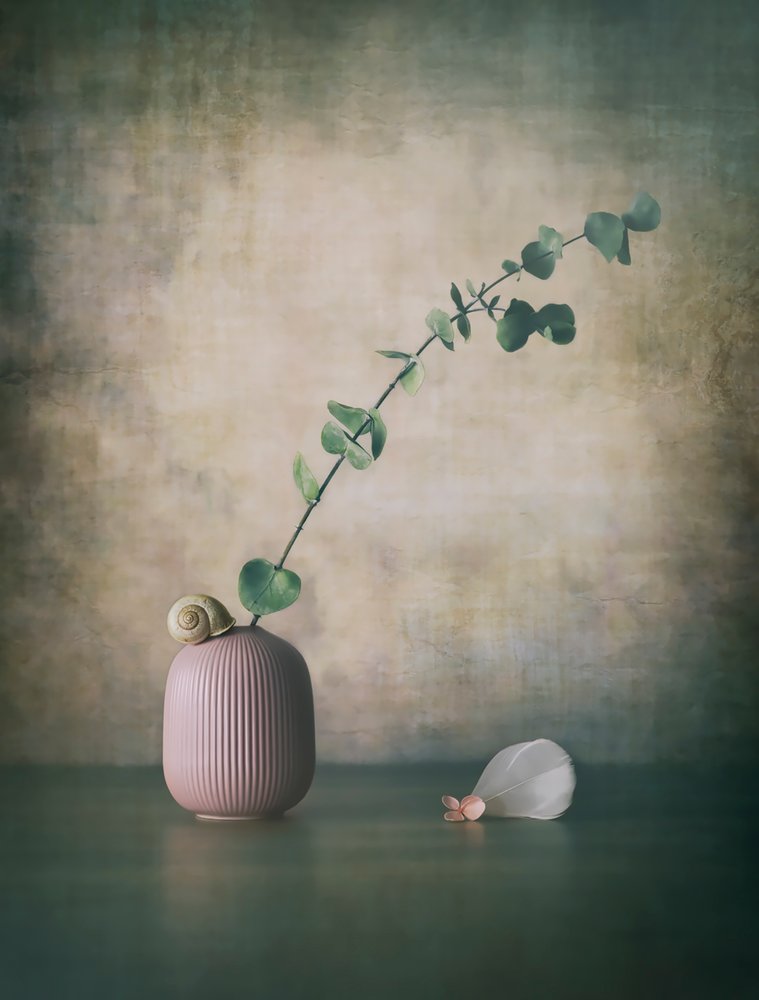 Eukalyptus Schnecke Rosa Vase von Sophie Pan