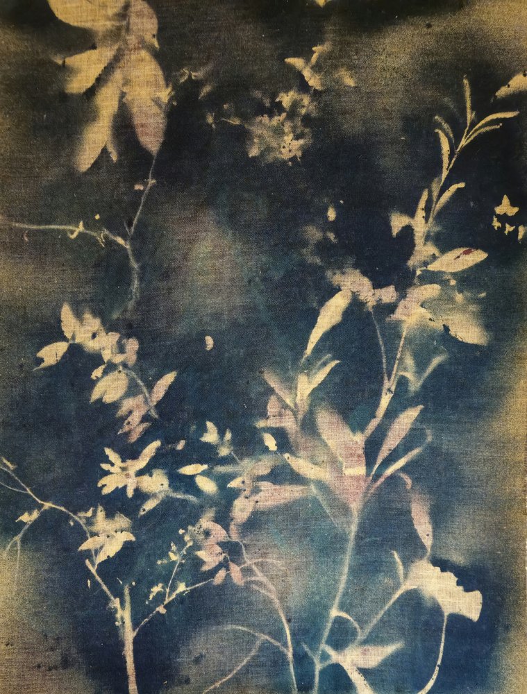 Leuchtendes Indigo-Laub von Stefano Mazzolini