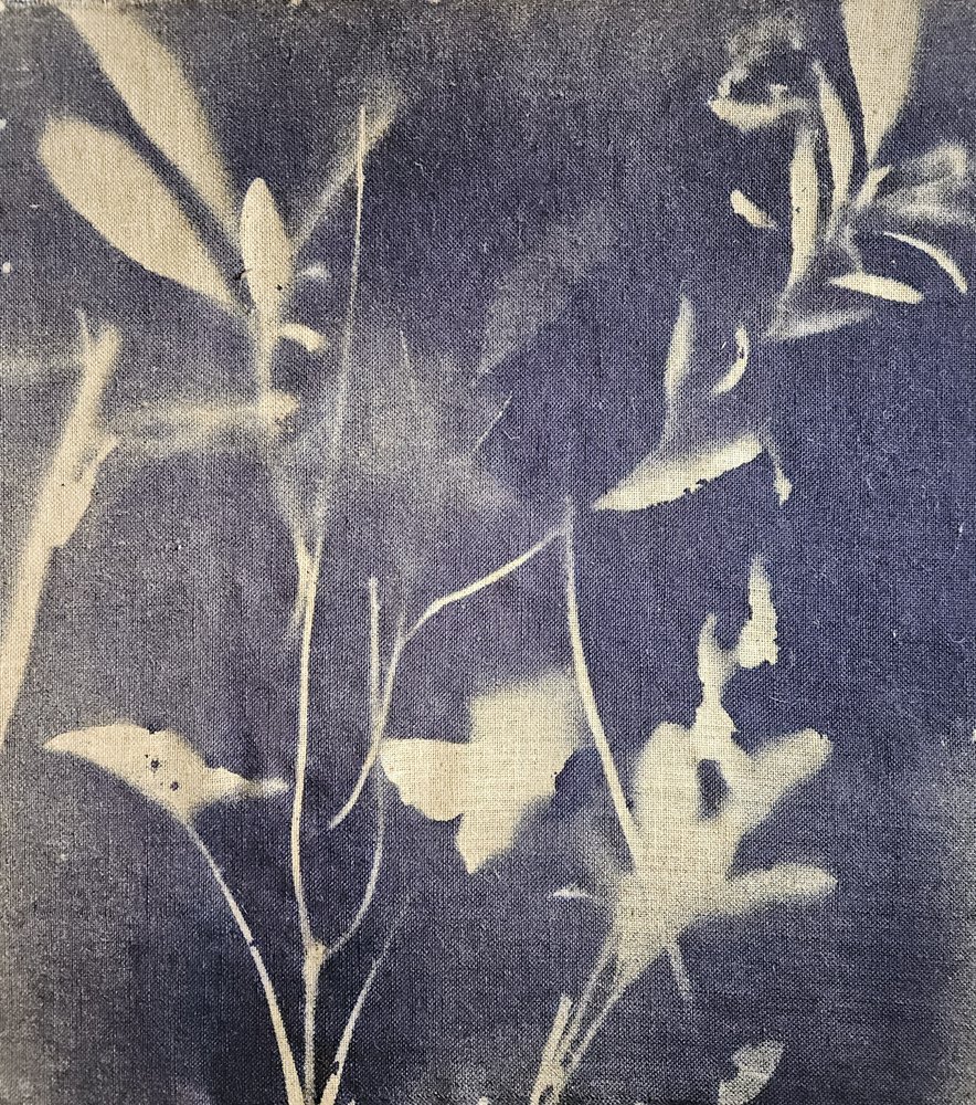 Vintage Botanische Blues von Stefano Mazzolini