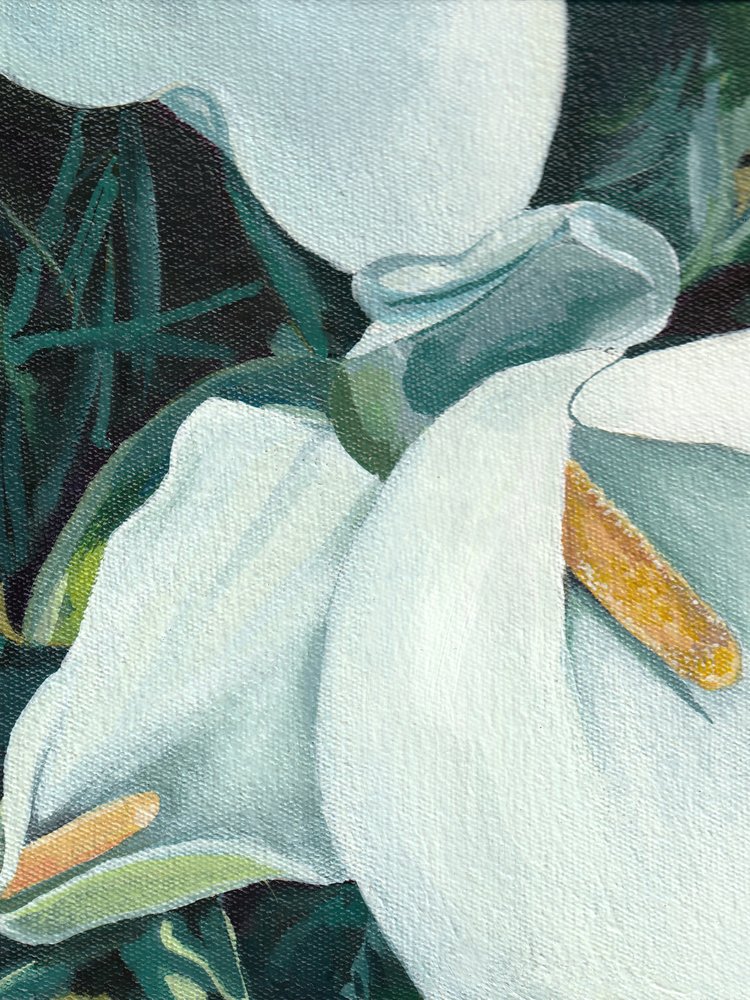 Elegante Calla-Lilien von Viccy Wanliss