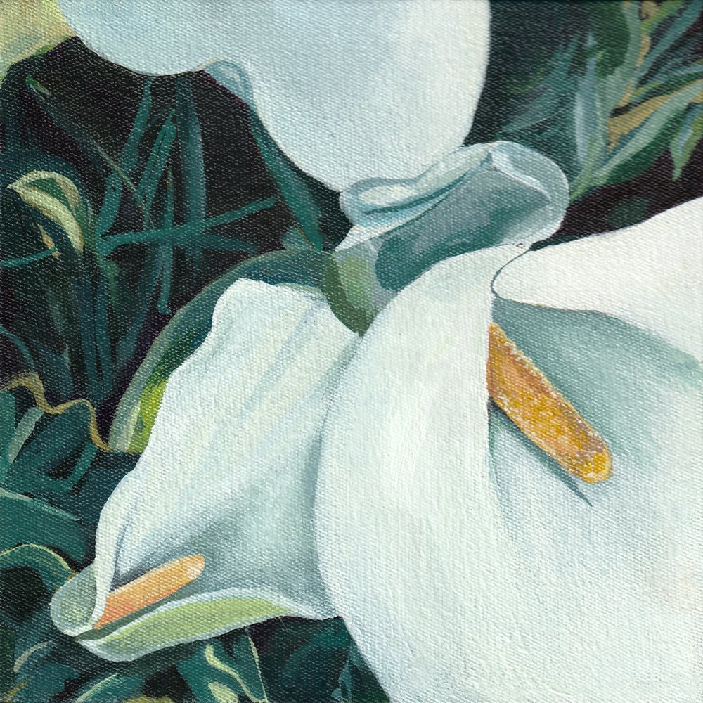 Elegante Calla-Lilien von Viccy Wanliss
