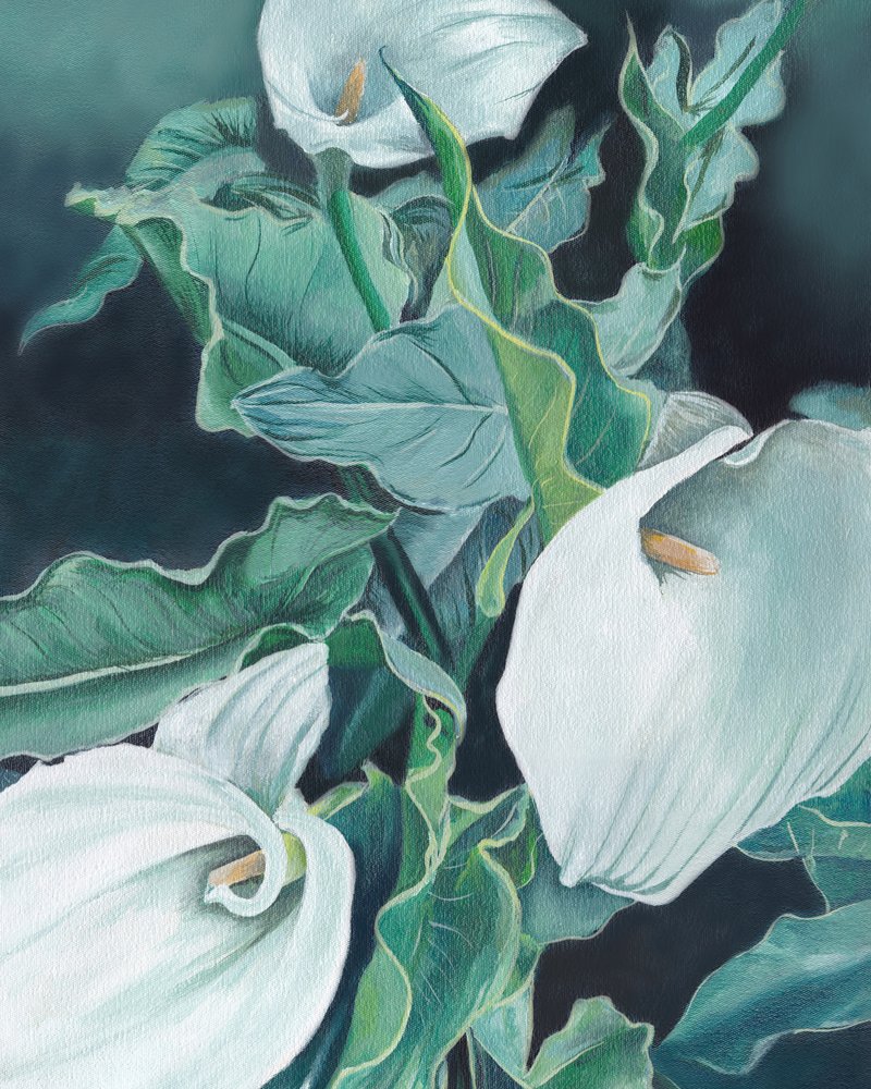 Weiße Calla-Lilien von Viccy Wanliss
