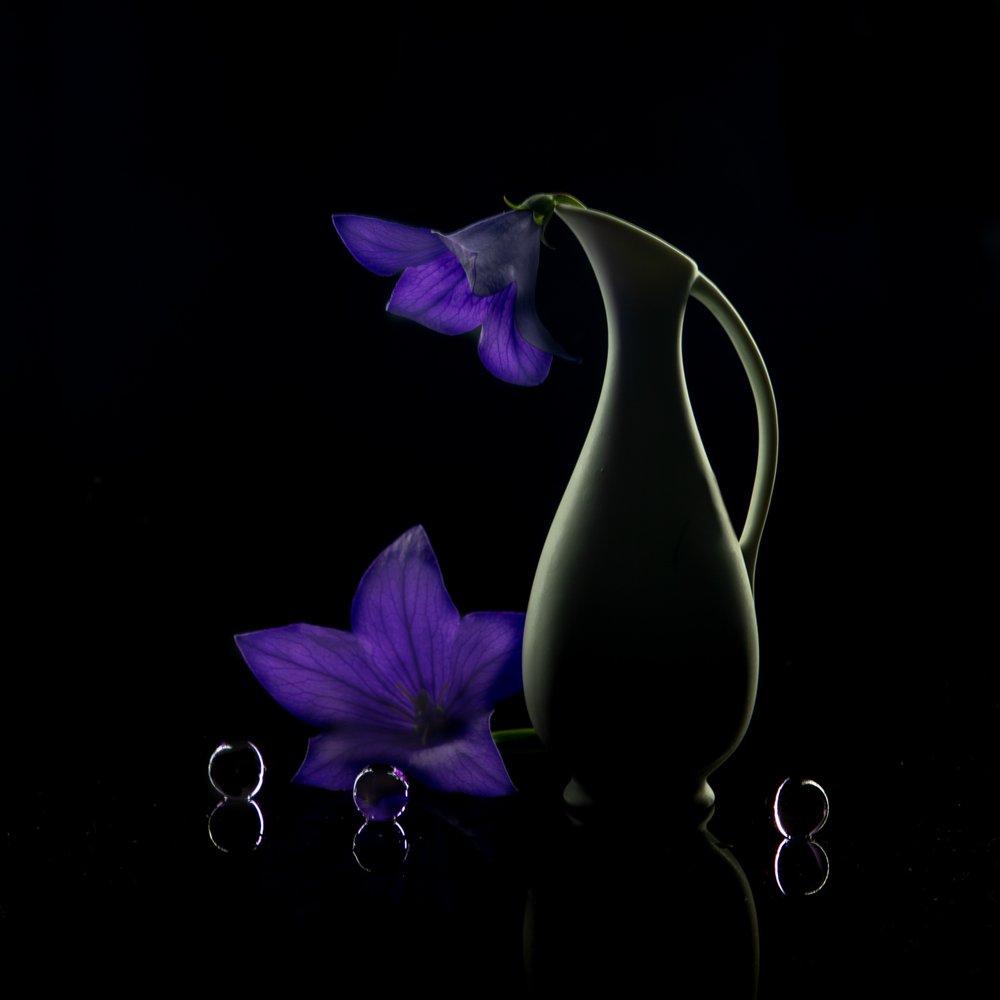 Lila Blumen Dunkle Eleganz von Wendy Xu