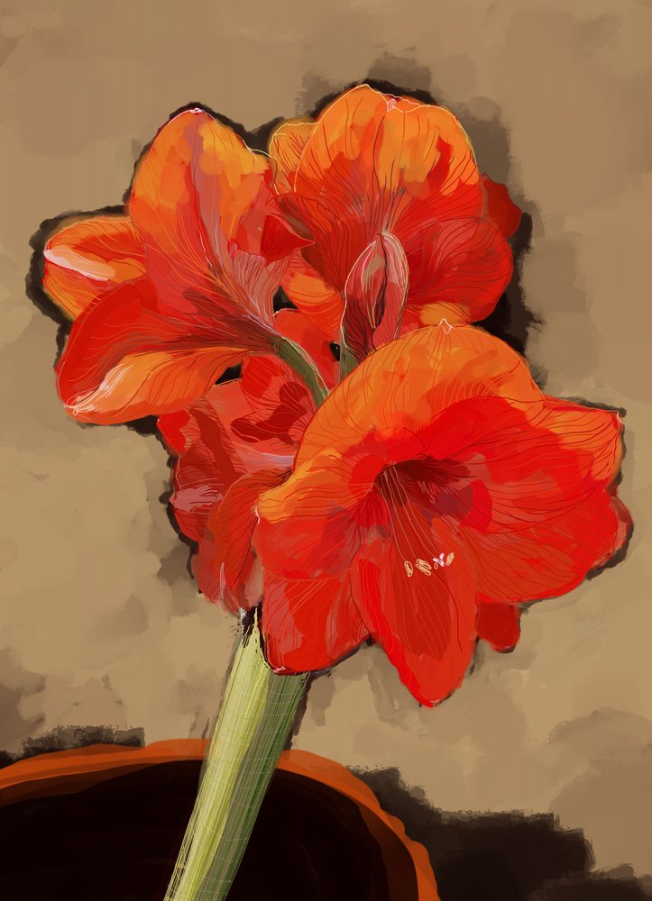 Leuchtende Amaryllisblüte von XHOZUCAN