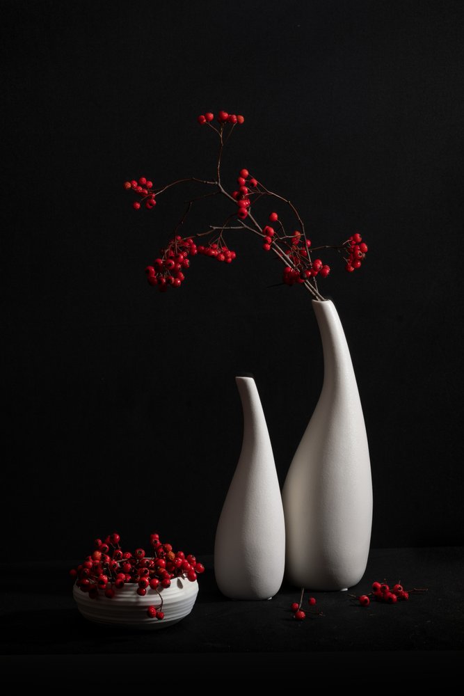 Elegantes Stillleben mit Beeren von Xiaoyuan Xu