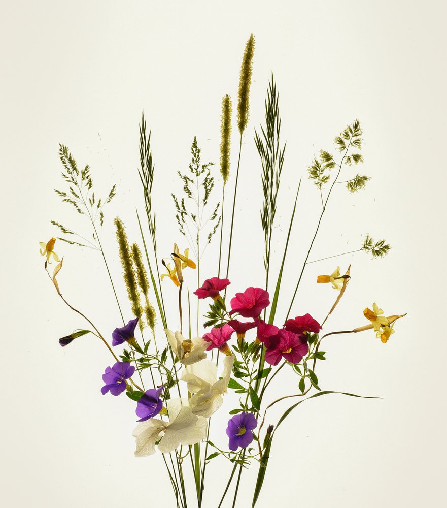 Lebhaftes Wiesenbouquet von Yuanwei Zuo APA