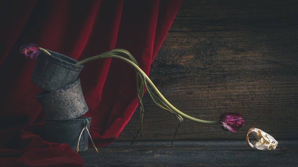 Dunkler floraler Schädel von alan shapiro