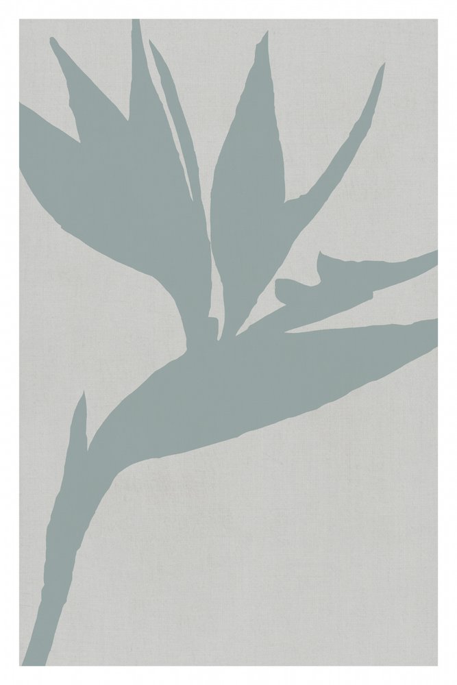 Paradiesvogel Silhouette von cartissi