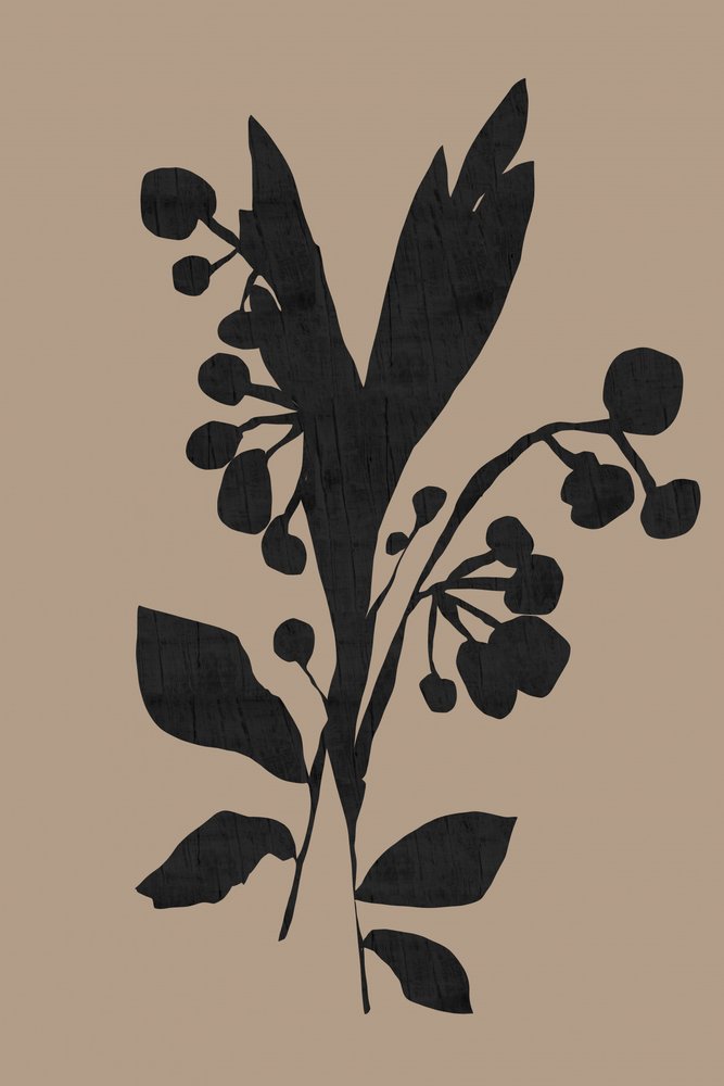 Dunkle botanische Silhouette von cartissi