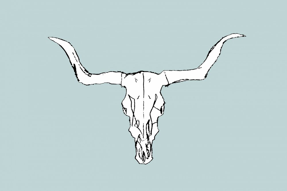 Wüsten-Stierschädel von cartissi