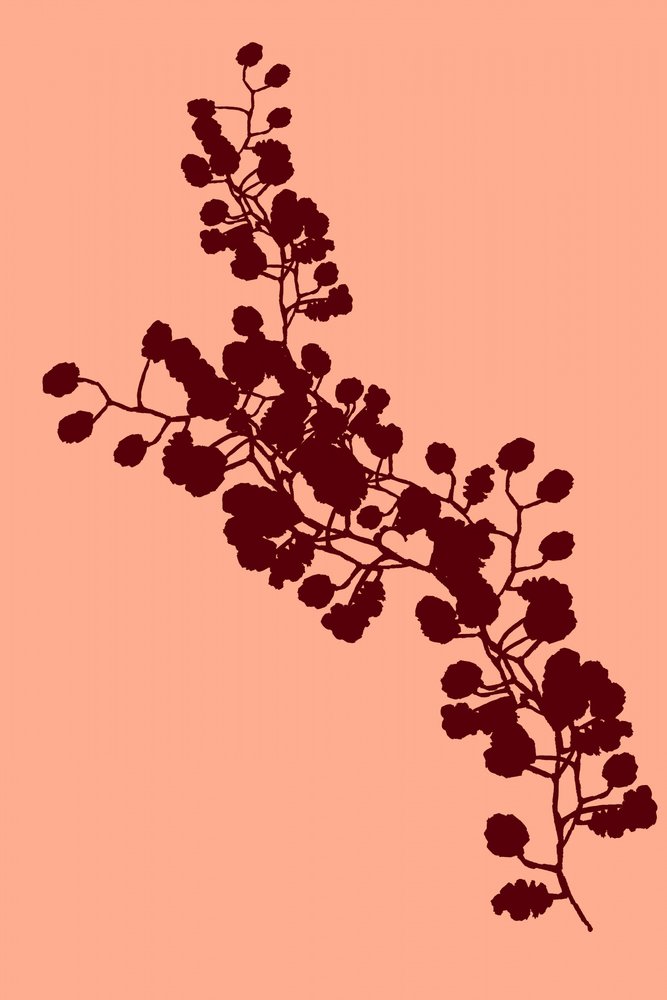 Elegante Blumensilhouette von cartissi