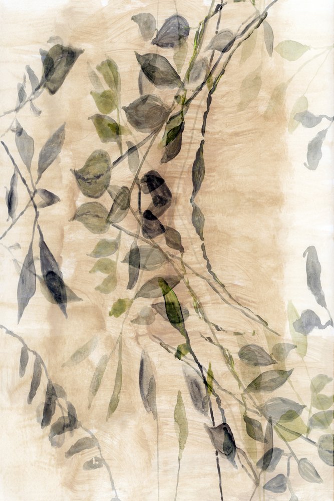 Ätherischer botanischer Fluss von cartissi