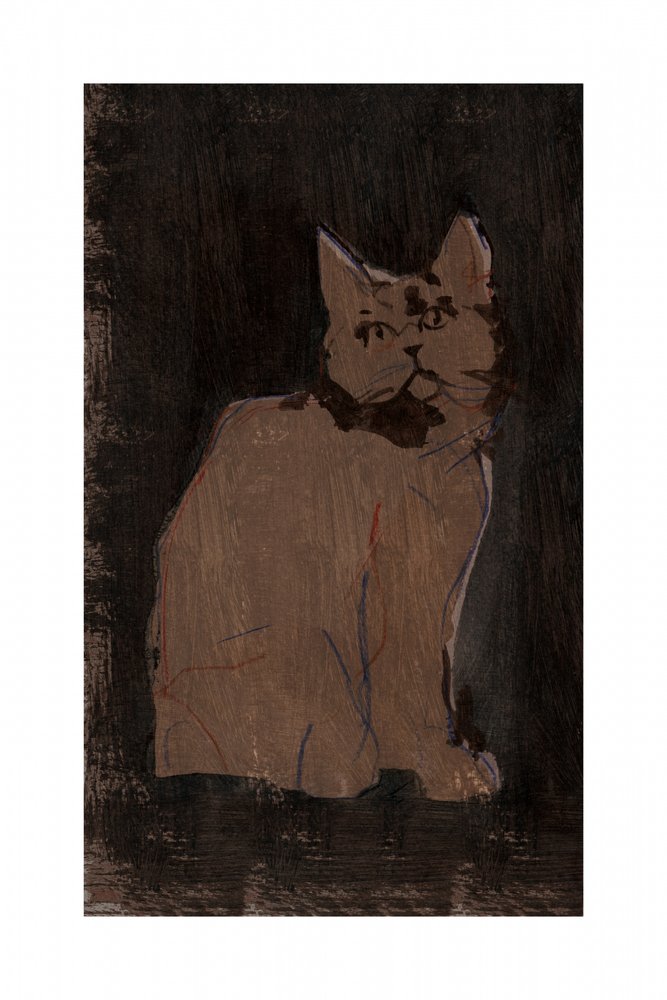 Stimmungsvolles Katzenporträt von cartissi