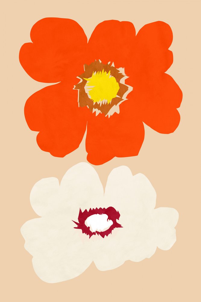 Orange und Weiße Blüten von cartissi