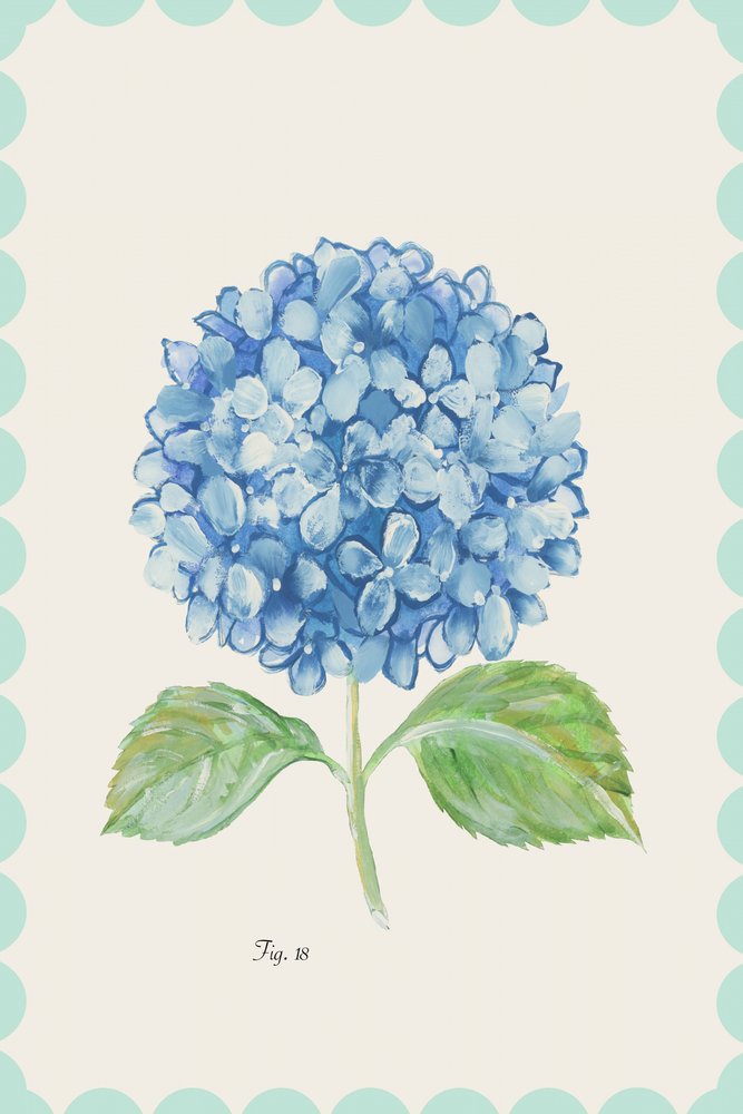 Vintage Blaue Hortensienblüte von cartissi