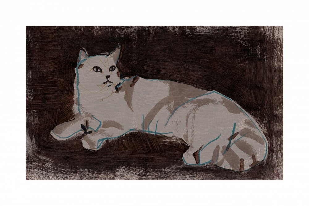 Weiße ruhende Katze von cartissi