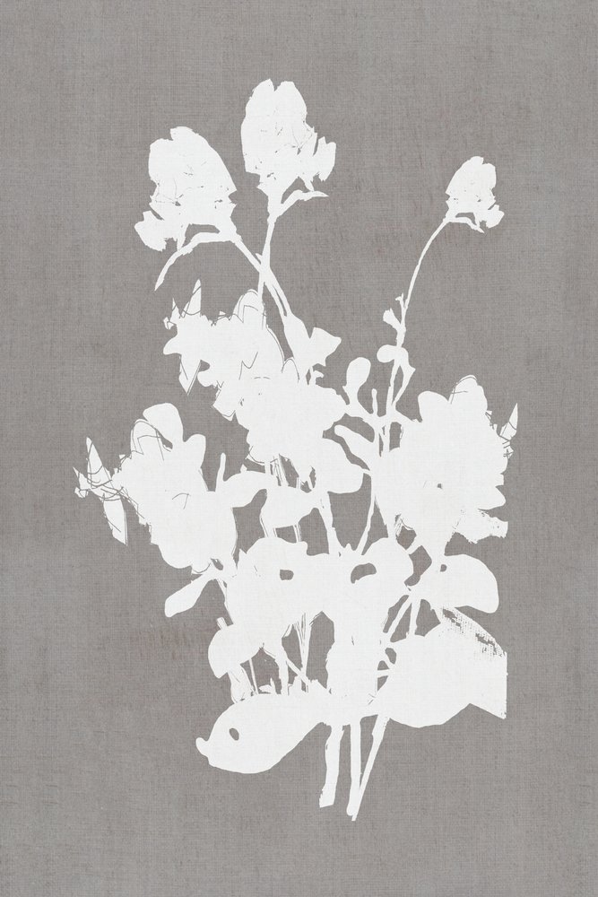 Weiße Blumensilhouette von cartissi